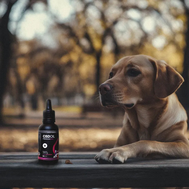 CBD Oil for Dogs | Full Spectrum 1200mg (30ml)